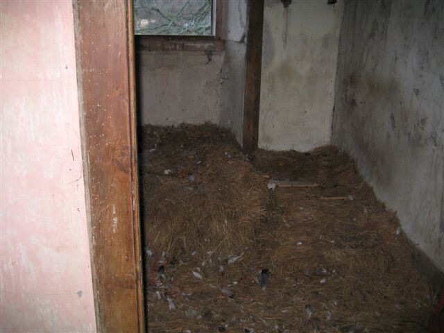 Ruined House at Culeave January 2008 009.jpg