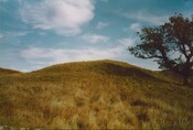 PS_010.jpg