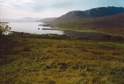 PS_011.jpg