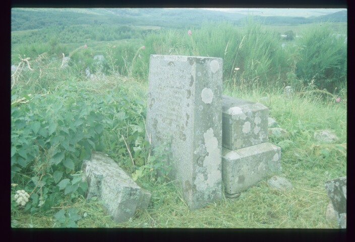 3769.jpg