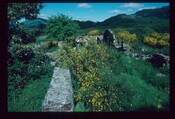 3747.jpg