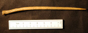 National Trust 002.jpg
