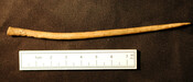 National Trust 010.jpg