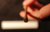 National Trust 012.jpg