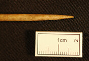 National Trust 018.jpg