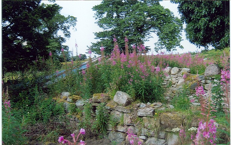 Photo006.jpg