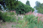 Photo007.jpg
