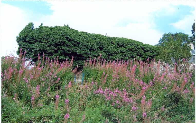 Photo008.jpg