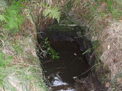 MHG51307 well2.jpg