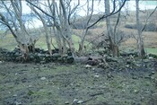 152767 - 833831 - CP(A 12 Peinchorran, Braes, Skye.jpg