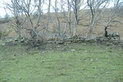 152767 - 833831 - CP(C 12 Peinchorran, Braes, Skye.jpg