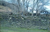 152767 - 833831 - CP(D 12 Peinchorran, Braes, Skye.jpg