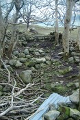 152767 - 833831 - CP(F 12 Peinchorran, Braes, Skye.jpg