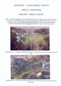 NG84SE0008 shielings A & B.jpg