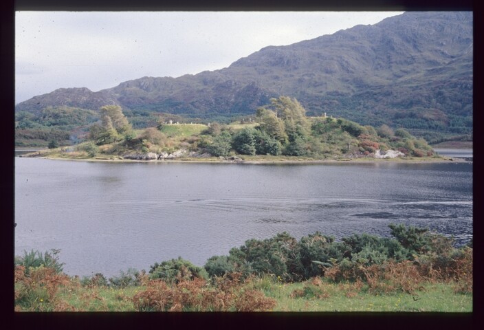 3740.jpg