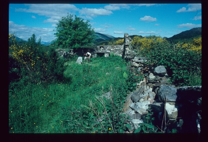 3741.jpg