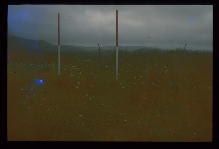 4254.jpg