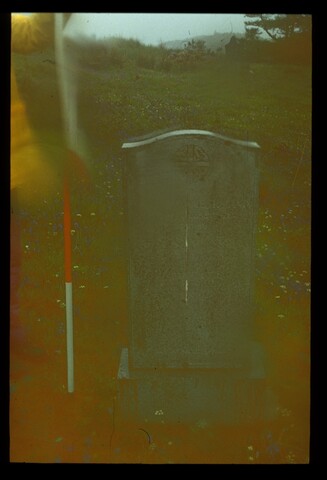 4253.jpg