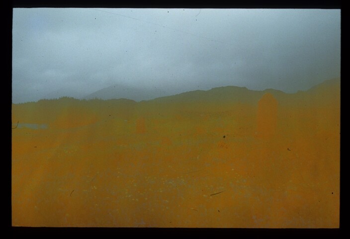 4255.jpg