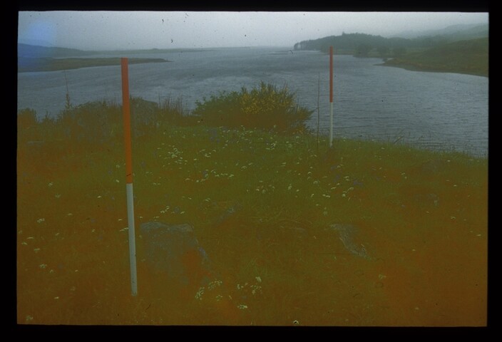 4256.jpg