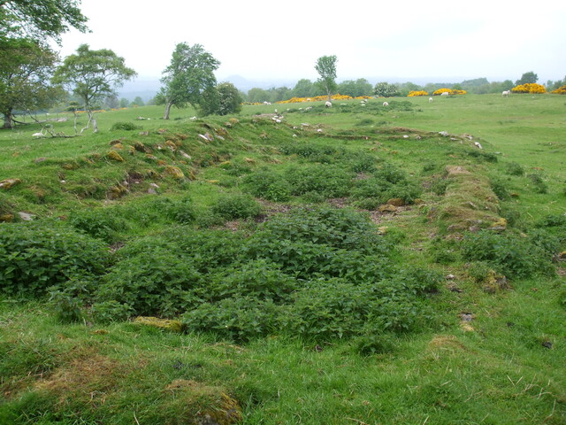 DSCF0216.jpg