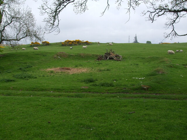 DSCF0217.jpg
