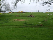 DSCF0217.jpg