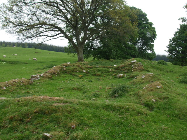 DSCF0218.jpg