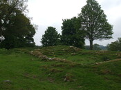 DSCF0219.jpg