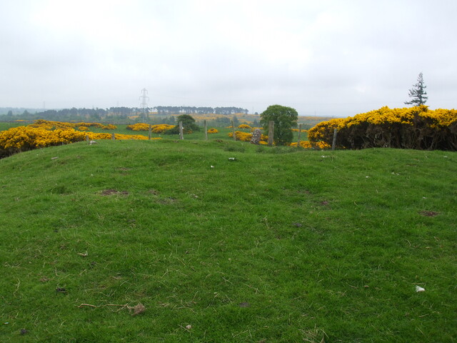 DSCF0211.jpg