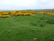 DSCF0212.jpg