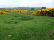 DSCF0213.jpg
