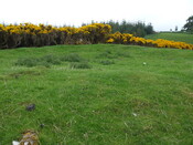 DSCF0215.jpg