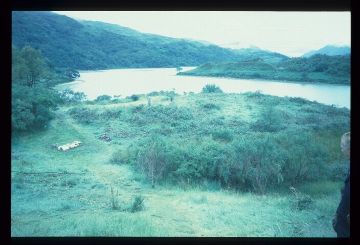 4545.jpg