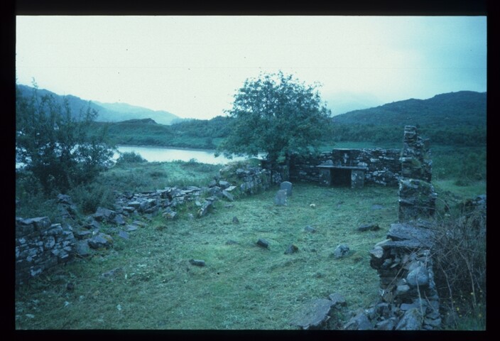 4550.jpg