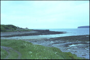 HC_ARCH2_1981-82_81061000.jpg
