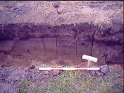 Burnside Hilton 064.avi