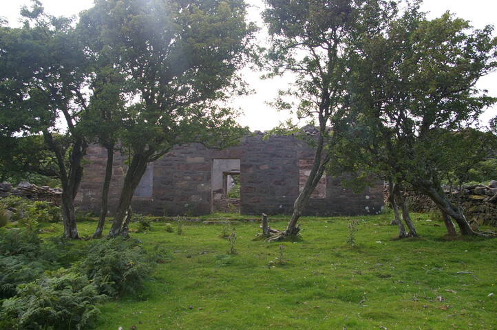 IMGP0223.JPG