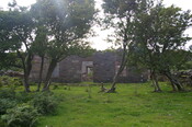 IMGP0223.JPG