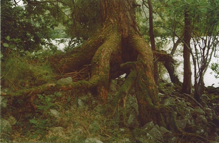 JK_003.jpg