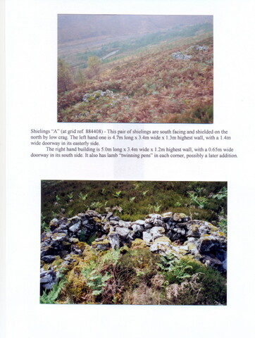 NG84SE0011 shieling A kishorn brae.jpg
