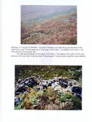 NG84SE0011 shieling A kishorn brae.jpg