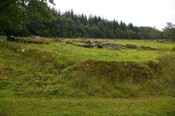 IMGP9729.JPG