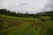 IMGP9731.JPG