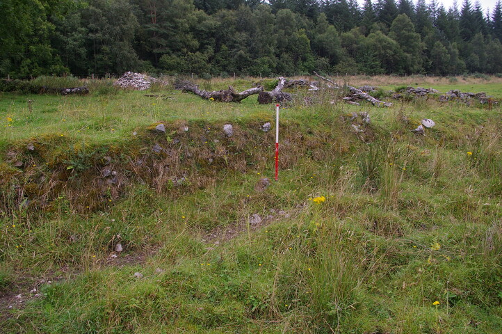 IMGP9732.JPG