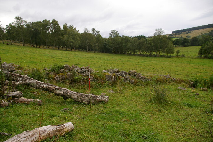 IMGP9735.JPG