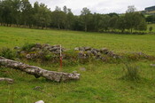 IMGP9736.JPG