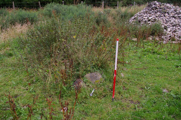 IMGP9740.JPG