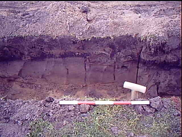 Burnside Hilton 065.avi