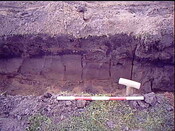 Burnside Hilton 065.avi